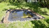 Teichanlage - Abdecken der Teichränder mit Erde und Natusteinen