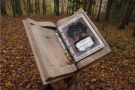 Buch aus Holz im Wald