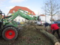 Kurzerhand brachte Rudolf Sattes, langjähriger Mitarbeiter am AELF Kitzingen, einen fünf Meter hohen Birnbaum aus seinem Garten mit ans Amt. 