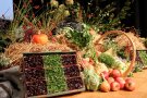 Bunte Dekoration aus Obst und Gemüse