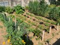 Fachschule für Ernährung und Haushaltsführung
