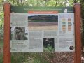 Schild am Waldumbauweg mit Titel "Baumarten im Klimawandel"