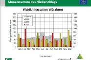 Grafik: Niederschlagvergleich der Waldklimastation Würzburg