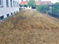 Altgrasstreifen hinter der Amtsverwaltung, Anfang September 2022