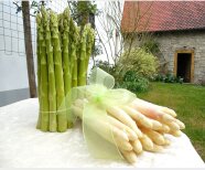 Spargel