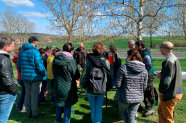 Personengruppe auf einer Wiese