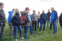 Gruppe Menschen auf einer Wiese