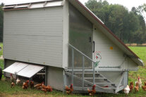 Legehennenstall