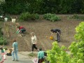 Mehrere Frauen legen Beete auf großer Gartenfläche an
