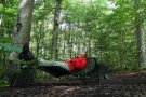Relaxen auf der Waldliege