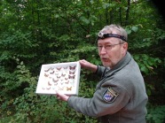 Hans-Peter Schreier zeigt Schmetterlingsarten im Glaskasten