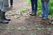 Gebastelte Waldbilder auf einem Weg