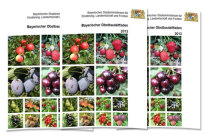 Titelblatt Bayerischer Obstbauleitfaden 2013 mit verschiedenen Obstsorten