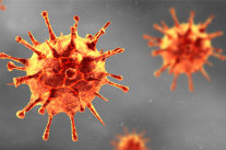 Corona Virus Darstellung © Thaut Images - stock.adobe.com